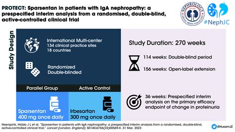 Sparsentan in IgA Nephropathy : The PROTECT trial — NephJC