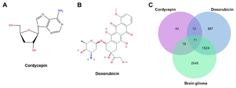 Exploring The Mechanism Of Cordycepin Combined With Doxorubicin In