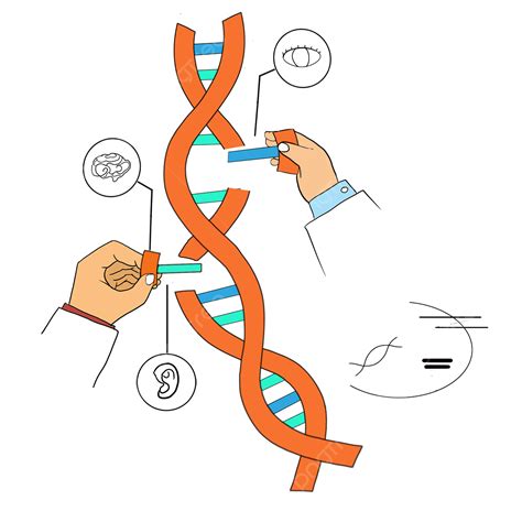 Genes Clipart Vector Research On Gene Editing Technology Gene Editing
