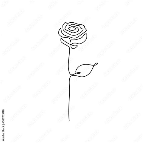 Continuous One Line Drawing Rose Flower Vector Illustration Stock