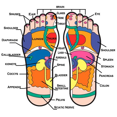 Beyond Massage Therapy Reflexology