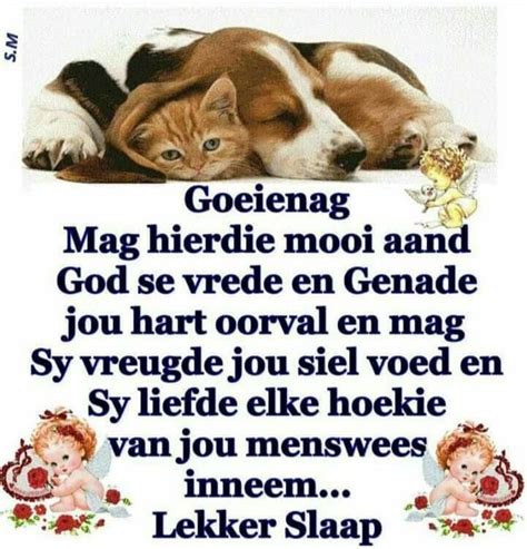 Pin By Martin Thompson On Afrikaans Good Night Quotes Goeie Nag