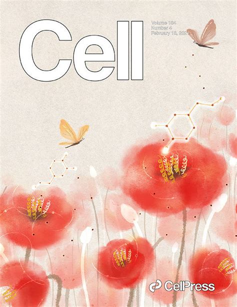 科学与艺术的结合！《cell》100张期刊封面鉴赏｜2021年篇绘图