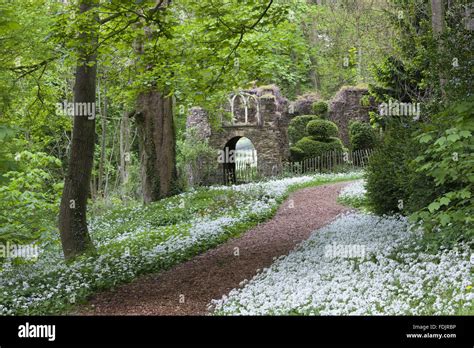 Parsons Folly in the woodland garden at Newark Park, Gloucestershire Stock Photo - Alamy