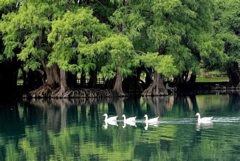 Los Paisajes Naturales M S Sorprendentes De M Xico