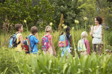 Cosas que podemos hacer y aprender en una excursión al campo