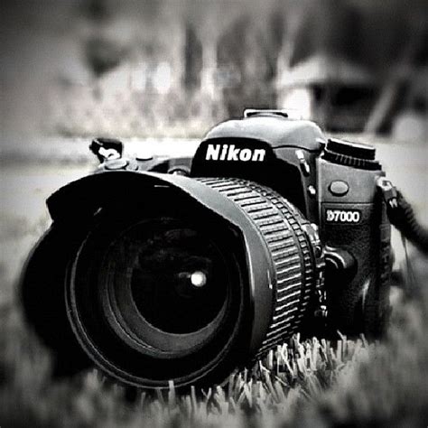 19++ Nikon d700 sample photos image ideas