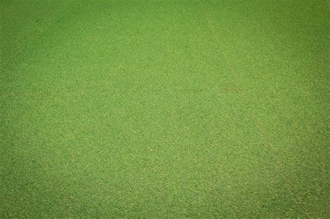 Premium Photo | Green grass texture background