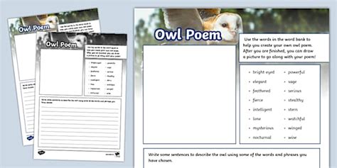 KS2 Owl Poem Writing Template Professor Feito Twinkl