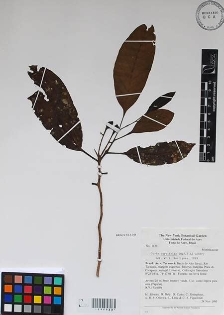 Galería Bioweb Ecuador