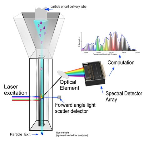 Flow Cytometry Rides Successive Waves Of Innovation