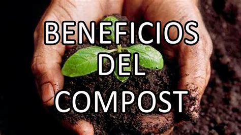 BENEFICIOS DEL COMPOST YouTube