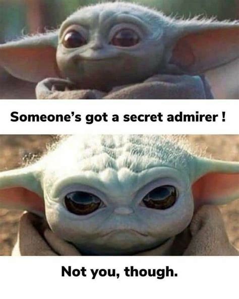 Pin by Ryan Rodbro on Baby Yoda (Grogu) memes | Yoda funny, Amusing ...