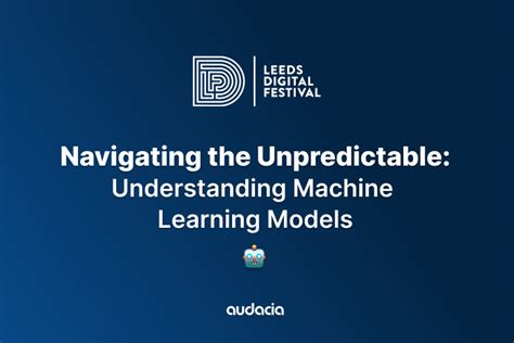 Understanding Machine Learning Models Ldf24