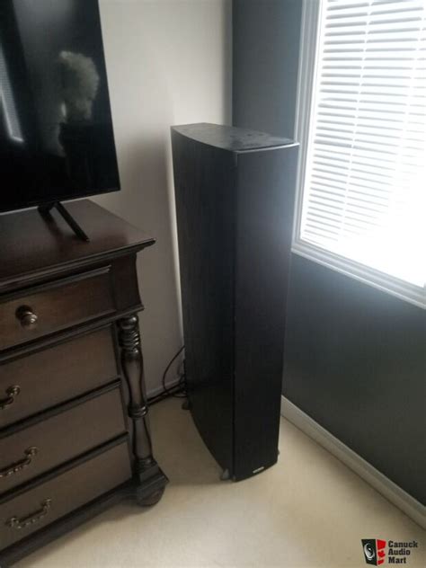 Polk Audio Rti A9 Floorstanding Loudspeakers Photo 4146659 Uk Audio Mart