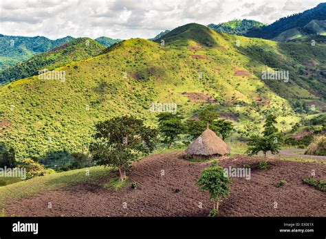 Traditional ethiopian hut in the Bonga forest reserve in southern ...