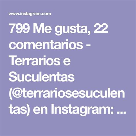 799 Me Gusta 22 Comentarios Terrarios E Suculentas