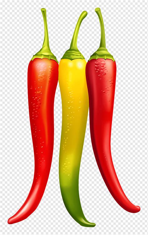 Colorful Chili Peppers Png Pngwing