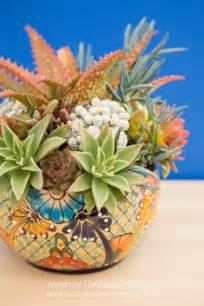 Choosing the Right Pot for your Succulents | Succulents and Sunshine ...