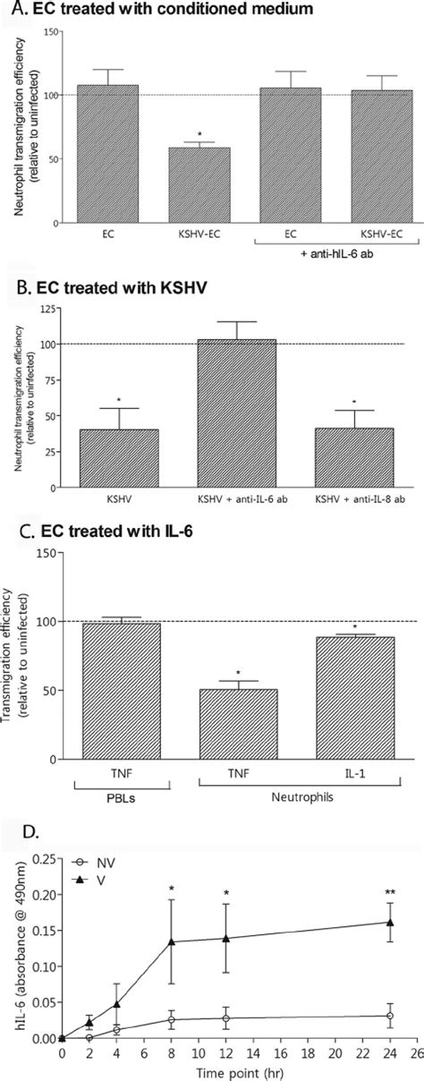 Effect Of Socs3 Sirna On Kshv Mediated Inhibition Of Neutrophil