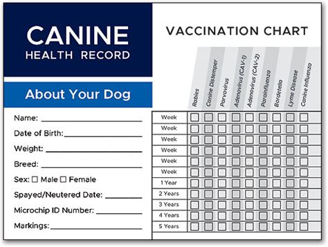 Dog Vaccination Record Printable Pdf Free