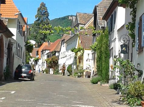 schönsten Radtouren in Rhodt unter Rietburg Outdooractive