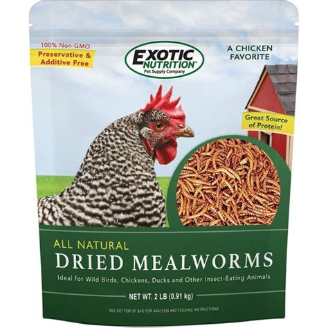 EXOTIC NUTRITION Live Mealworms Reptile Food Giant 500 Count Chewy