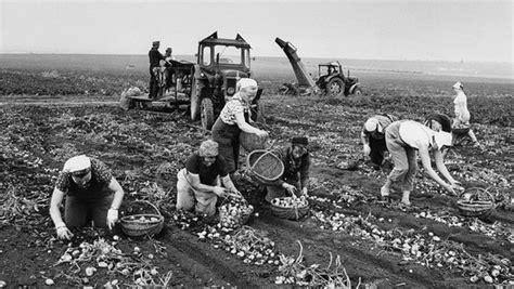 Lpg Vom Kleinbauern Zum Agrargenossen Der Ddr Ndr De Geschichte