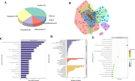 Bioinformatics Analysis Of Ev Differential Proteins A Subcellular