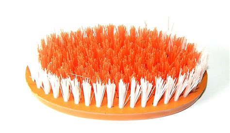 Cloth Cleaning Brush Premium Oval Cloth Brush For Washing Clothes