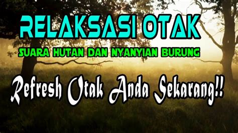 Relaksasi Otak Suara Alam Dan Nyanyian Burung Terapi Otak Insomnia