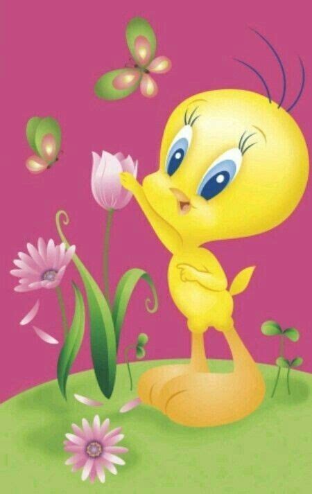 Tweety Bird Dibujos De Piolin Imagenes Animadas Dibujos Porn Sex Picture