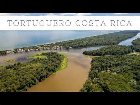 Our Experience With Tortuguero Packages From San Jose We Did A