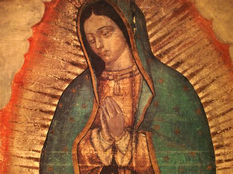 Novena to Our Lady of Guadalupe | The Catholic Catalogue