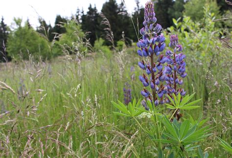 Röthengrundwanderung in der Urlaubsregion Coburg Rennsteig Wanderung