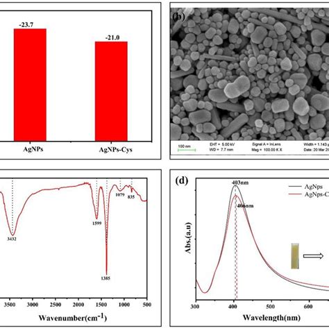 A Zeta Potential Of Agnps And Agnps Cys B Sem Image Of Agnps Cys C