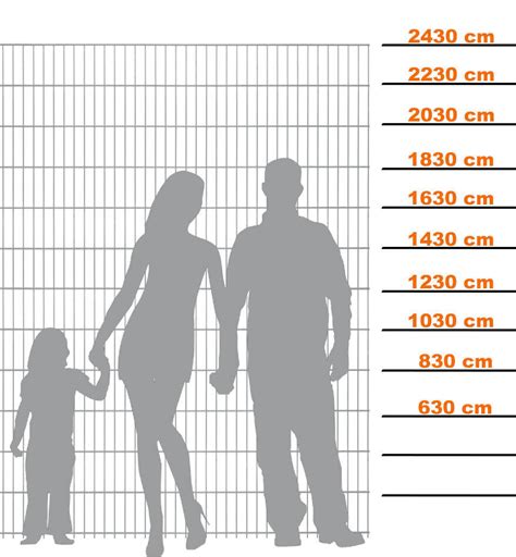 Doppelstabmattenzaun Verzinkt Meter Cm Doppel Stab Matten