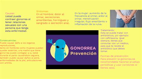 Como Prevenir La Gonorrea By Jalil Racig On Prezi