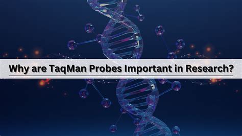 TaqMan Probes: An Essential Tool in Molecular Biology Research