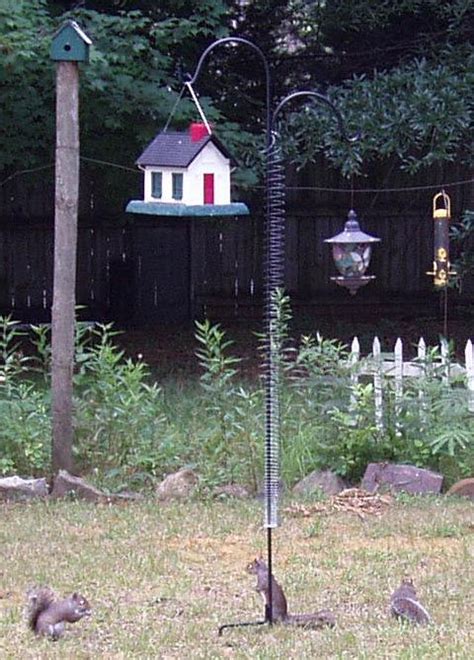 Slinky To Keep The Squirrels Away From Bird Feeders Bird House Bird