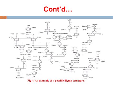 Composition And Degradation Of Lignin Ppt