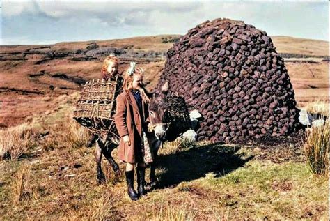Peat, Turf, Old Photos, Sustainability, Harvest, Ireland, Irish, Olds ...