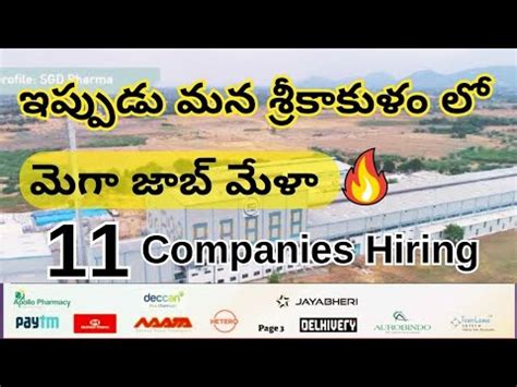 Mega Job Mela For Freshers In Srikakulam Jobs In Vizag Success