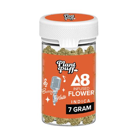 Berry White Delta Thc Flower Plant Puff