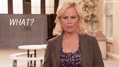 Amy Poehler What? - Reaction GIFs