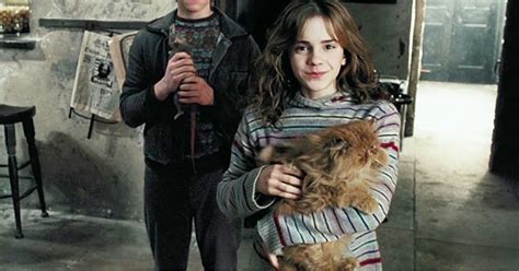 All The Harry Potter Pets, Ranked