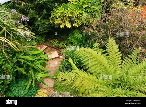 Overhead Aerial View Of A Small Exotic Garden In Plymouth Devon Uk