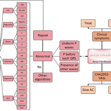 Simplified Algorithm In The Field Of Cardiology That Can Help In Atrial