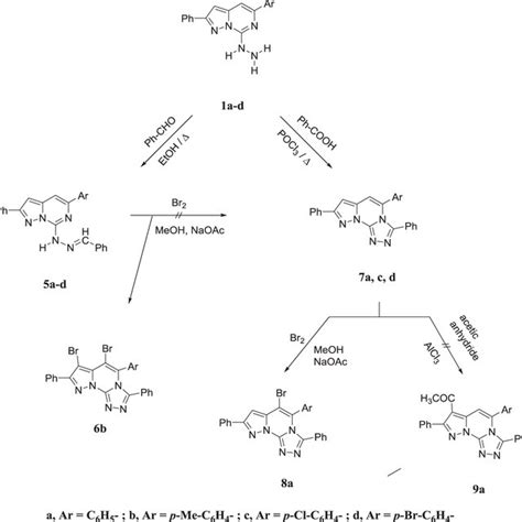 Synthesis Of Pyrazolo[1 5 C] 1 2 4 Triazolo[4 3 A]pyrimidines Download Scientific Diagram