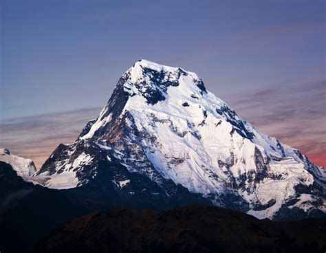 Annapurna Dakshin Mountain Field Guide